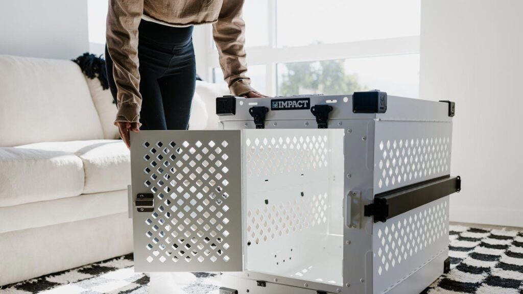 Image Credit: Impact Dog Crates/Pexels