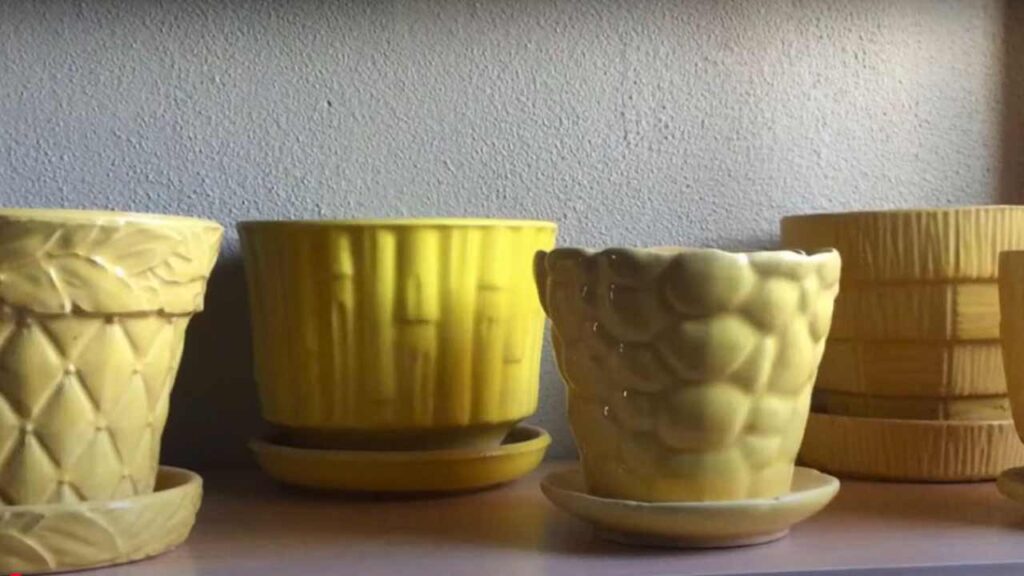 McCoy and Hull Pottery
