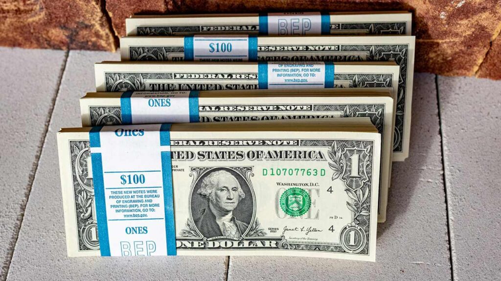 Reinvest Dividends and Avoid Early Withdrawals