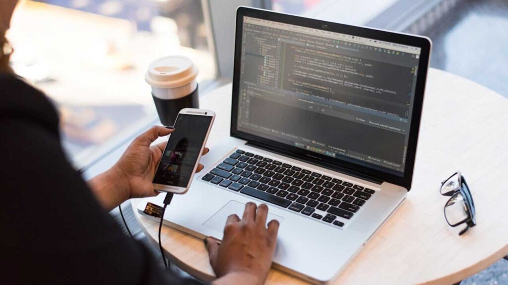Software Developer