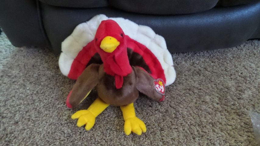 Gobbles the Turkey