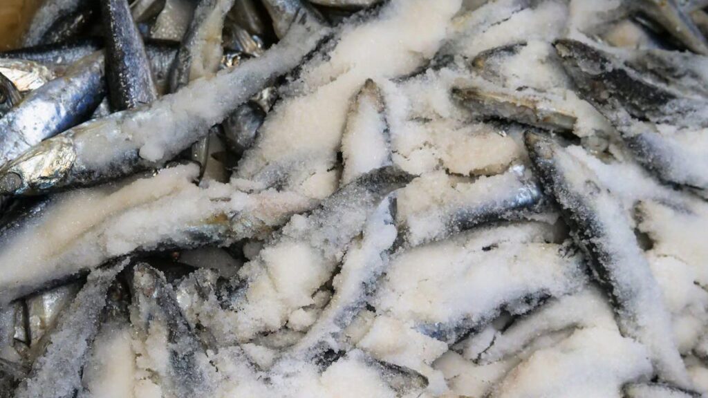 Frozen Foods