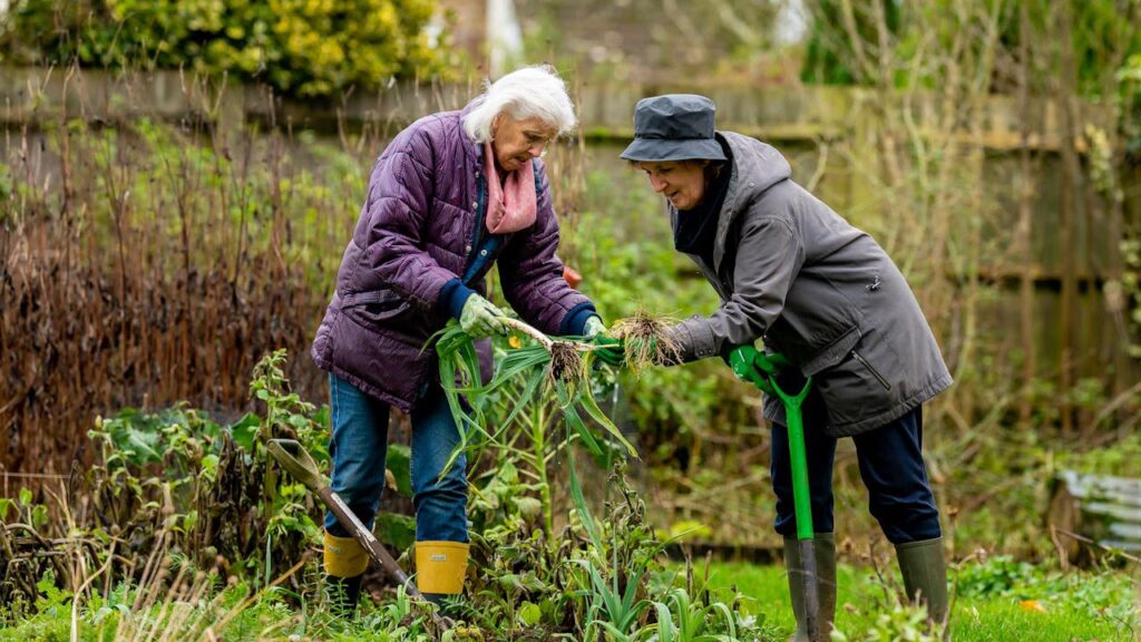Gardening or Landscaping