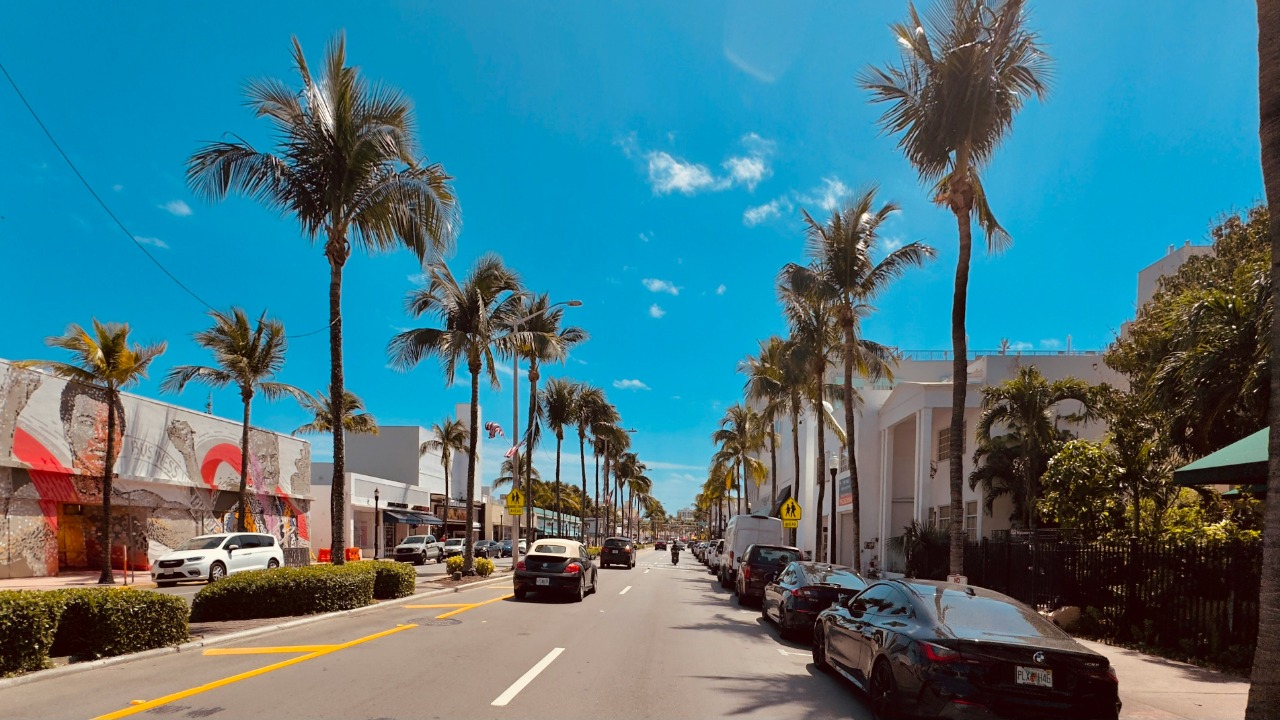 a street lined with palm trees and parked cars — Juan Pablo Mascanfroni
