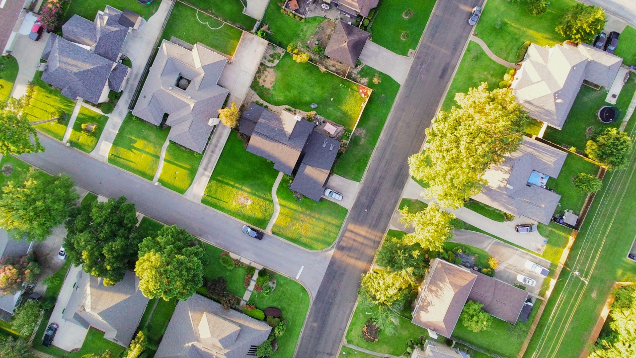 Image Credit: aerial view of green trees and white flowers — J King