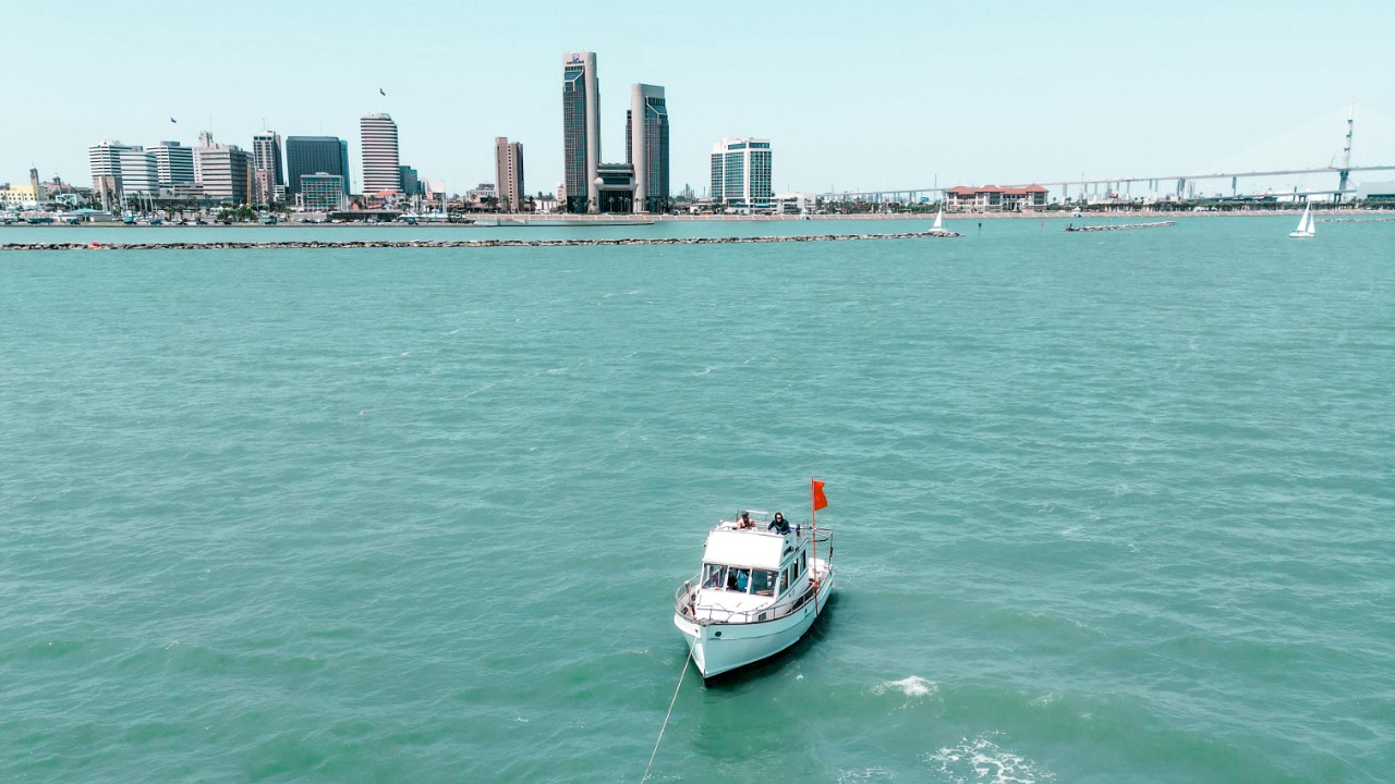 Hameen Reynolds/Pexels