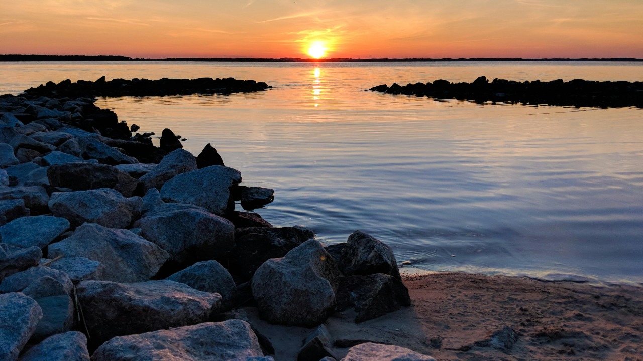 Anthony DeRosa/Pexels