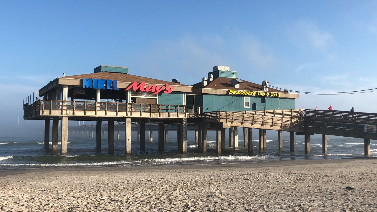 Image Credit: Matthew T Rader - CC BY-SA 4.0/Wiki Commons