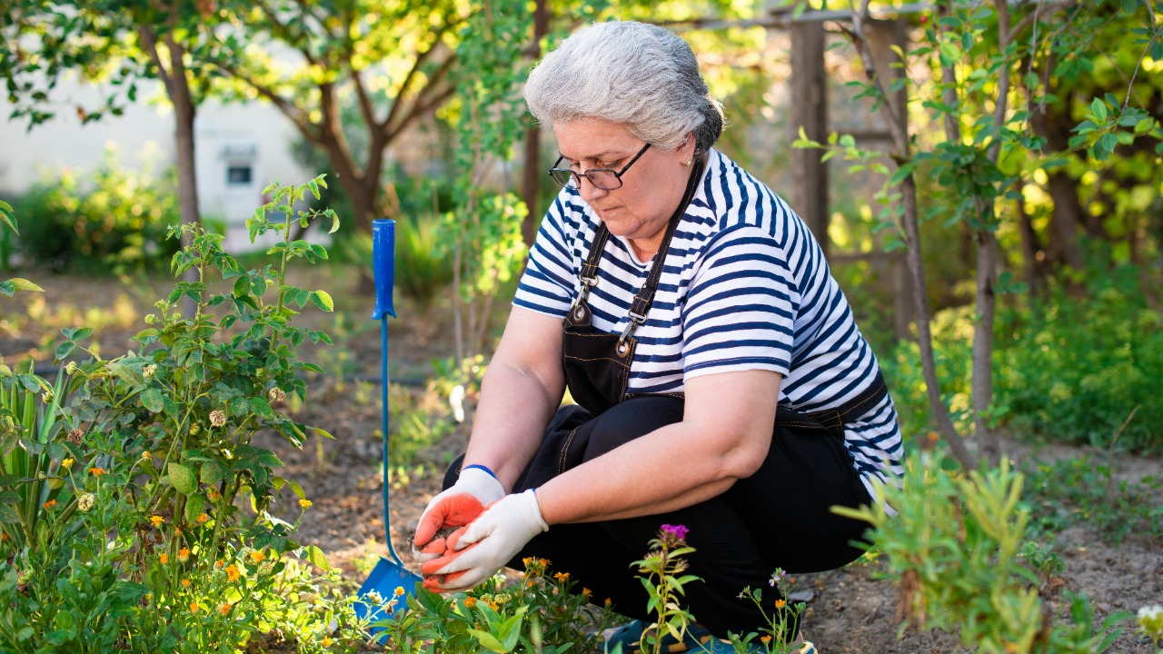 hasanzadehphotography/Unsplash