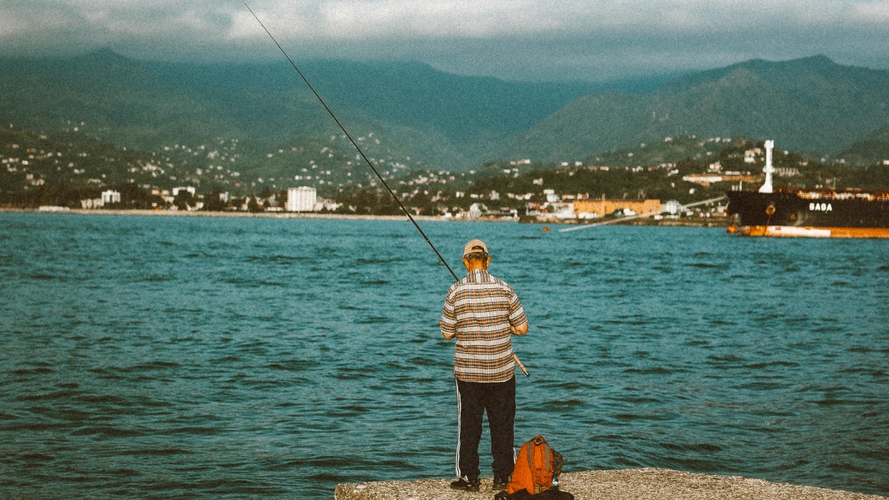 Image Credit: Eslam Mohammed Abdelmaksoud/Pexels