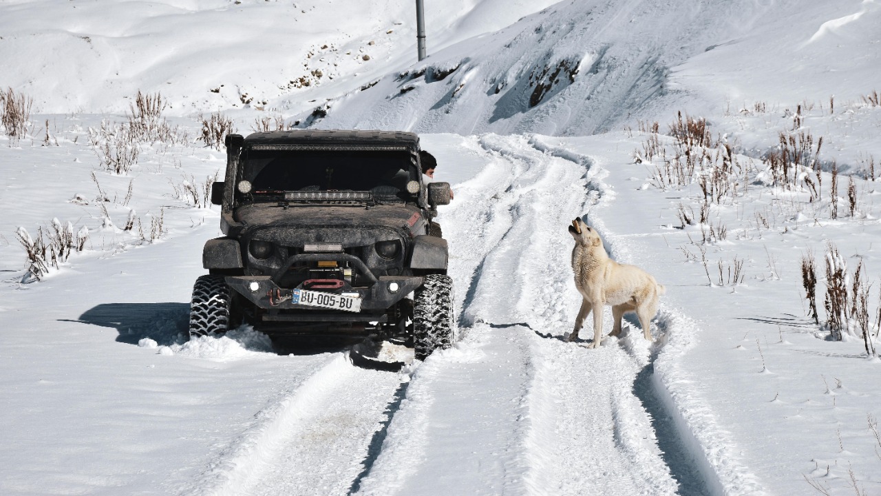 Image Credit: Artem Makarov/Pexels