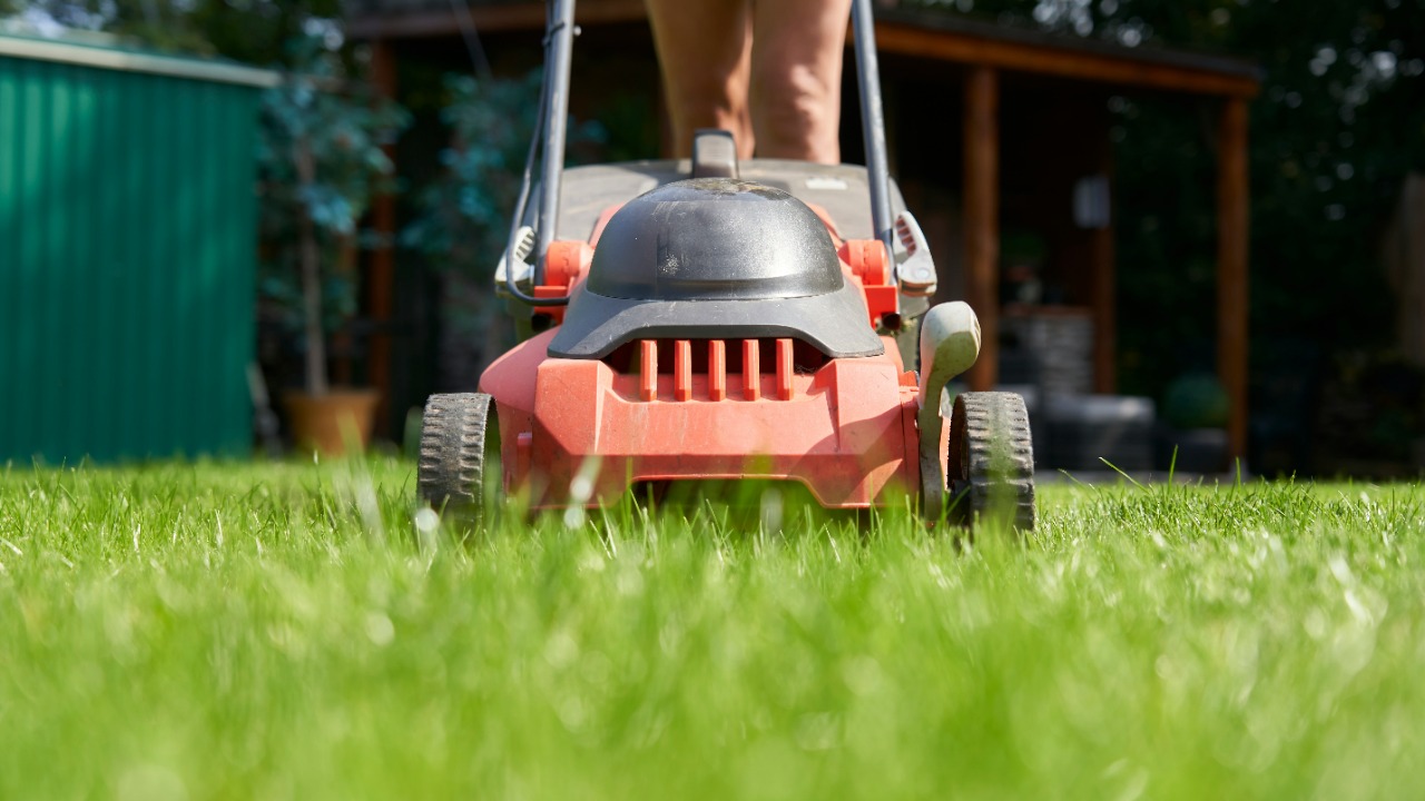Image Credit: A person is mowing the lawn. — Charlotte Cowell