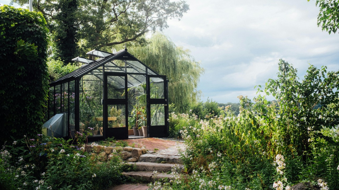 Filipp Romanovski/Pexels