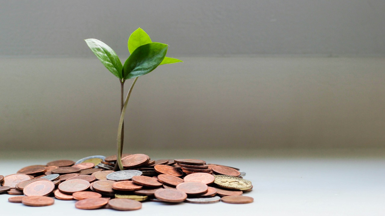 Image Credit: green plant on brown round coins — micheile henderson
