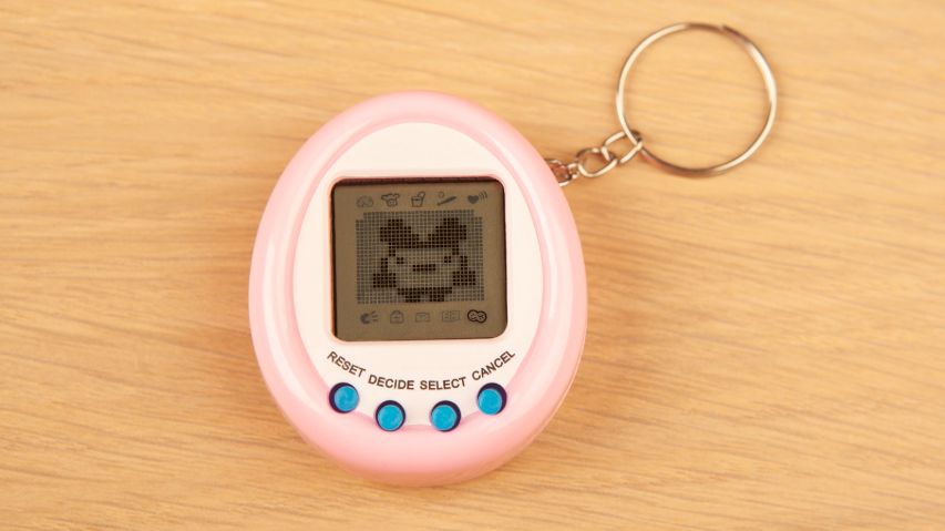 amagotchi