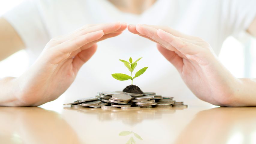 Reinvesting in Themselves