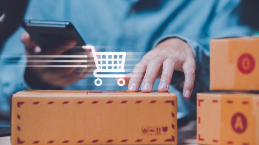 AI-Driven E-commerce Solutions