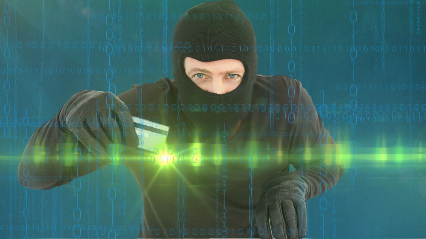 Identity Theft Schemes