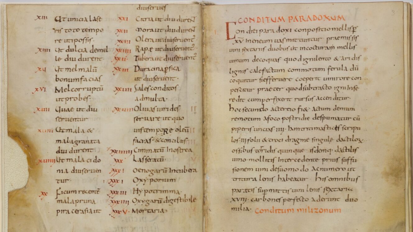 Image Credit: unknown (attributed to Apicius) - Public Domain/Wiki Commons