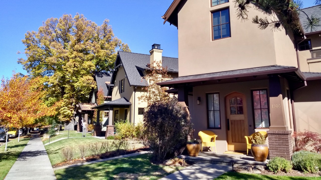 Image Credit: Bruno Rijsman - CC BY-SA 2.0/Wiki Commons