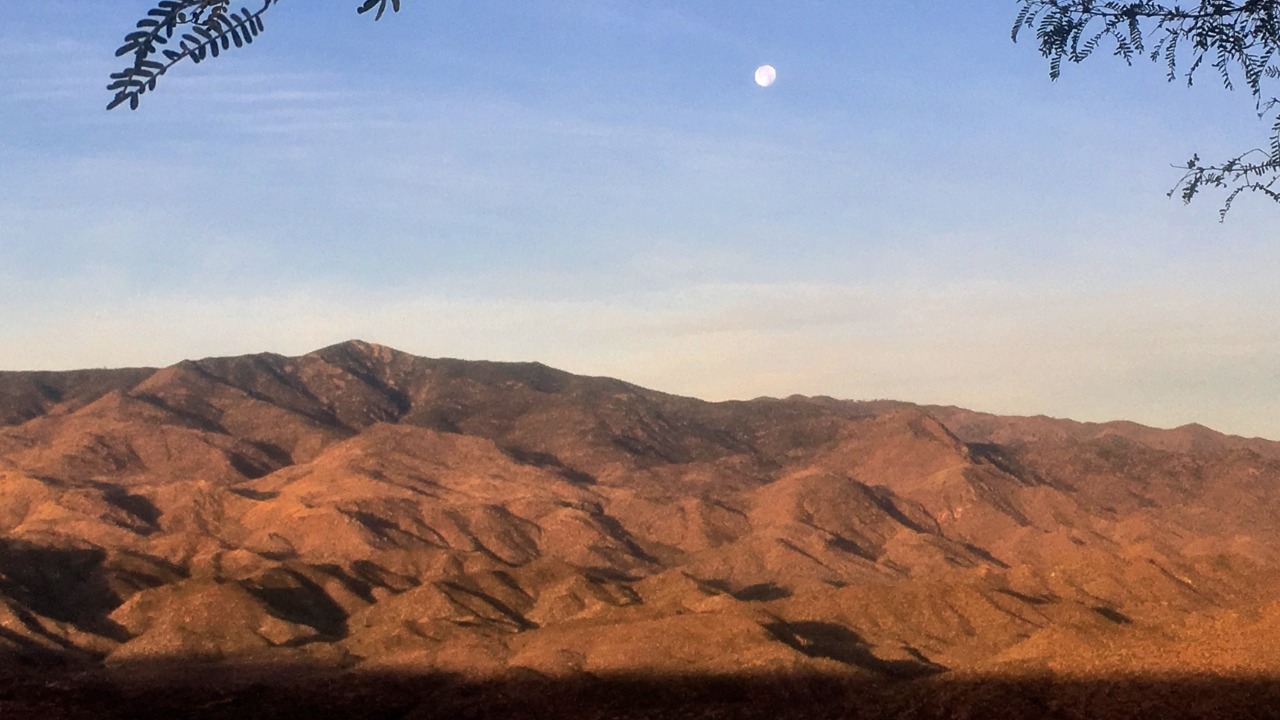 Image Credit: Alan Levine from Strawberry, United States - CC0/Wiki Commons