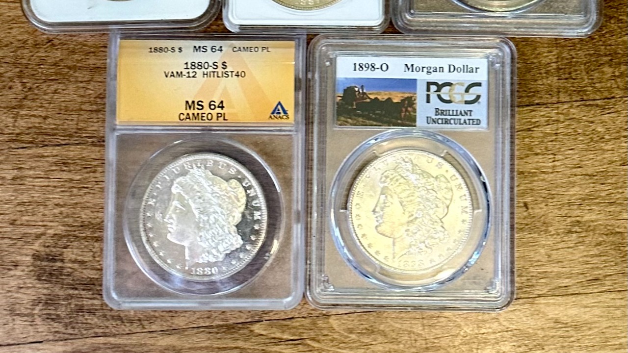 Image Credit: Bruxton - Public domain/Wiki Commons