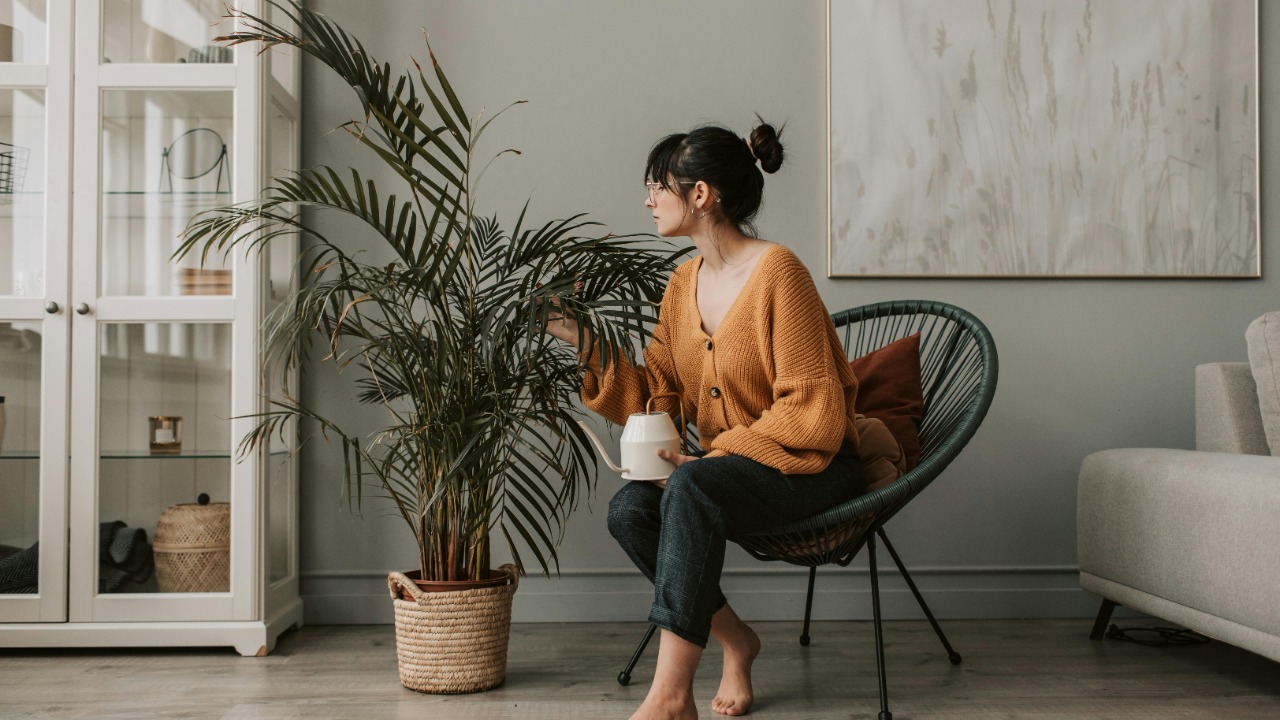 Vlada Karpovich/Pexels