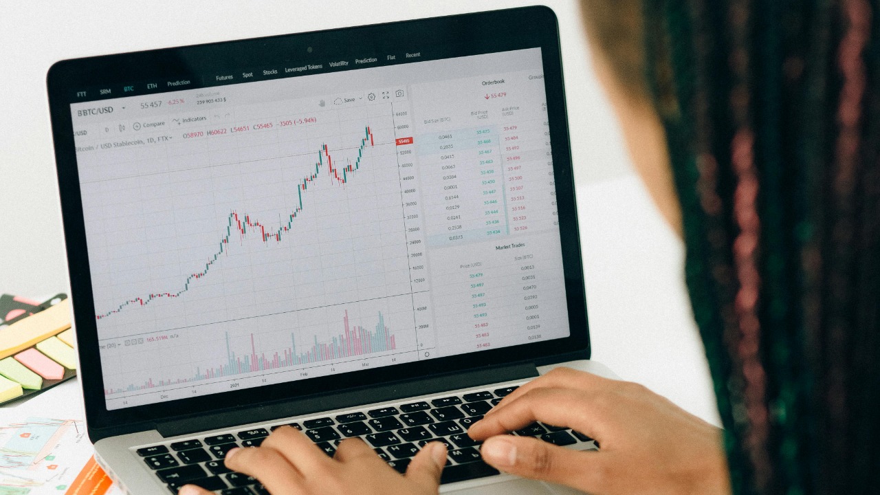 Nataliya Vaitkevich/Pexels