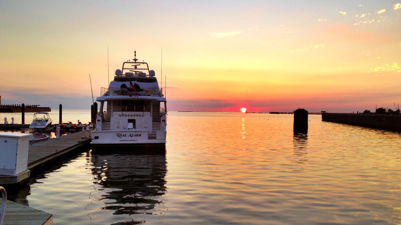 Image Credit: David Broad - CC BY 3.0/Wiki Commons