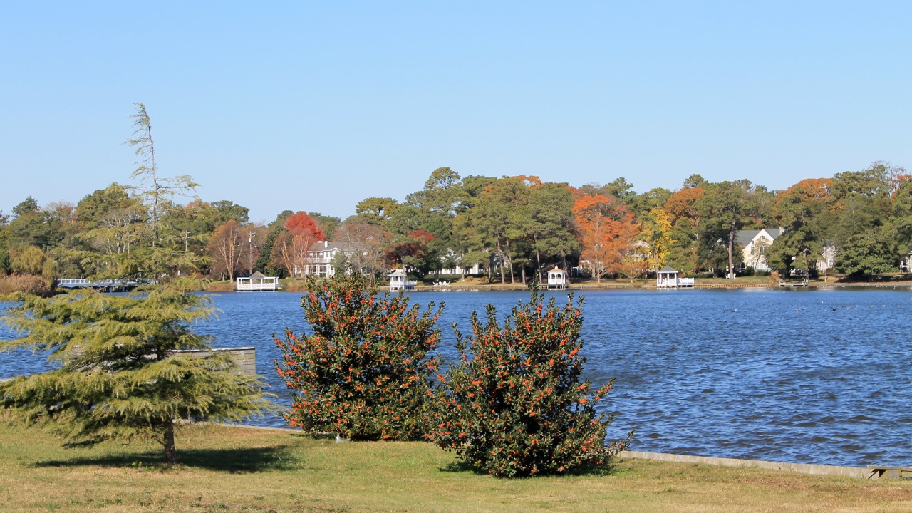 Image Credit: Patrick Nouhailler's… - CC BY-SA 3.0/Wiki Commons