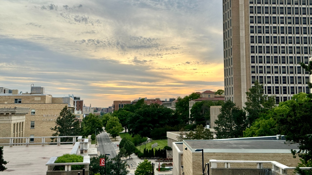 Image Credit: w_lemay - CC BY-SA 2.0/Wiki Commons