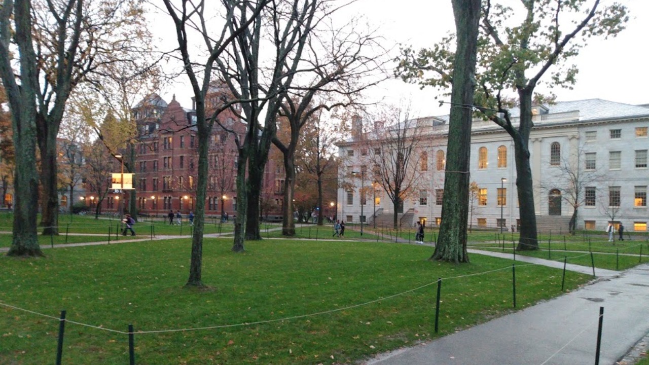 Image Credit: David Adam Kess - CC BY-SA 4.0/Wiki Commons