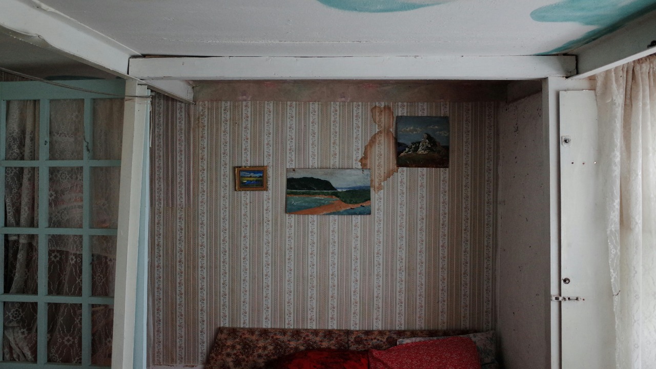 Marina Leonova/Pexels