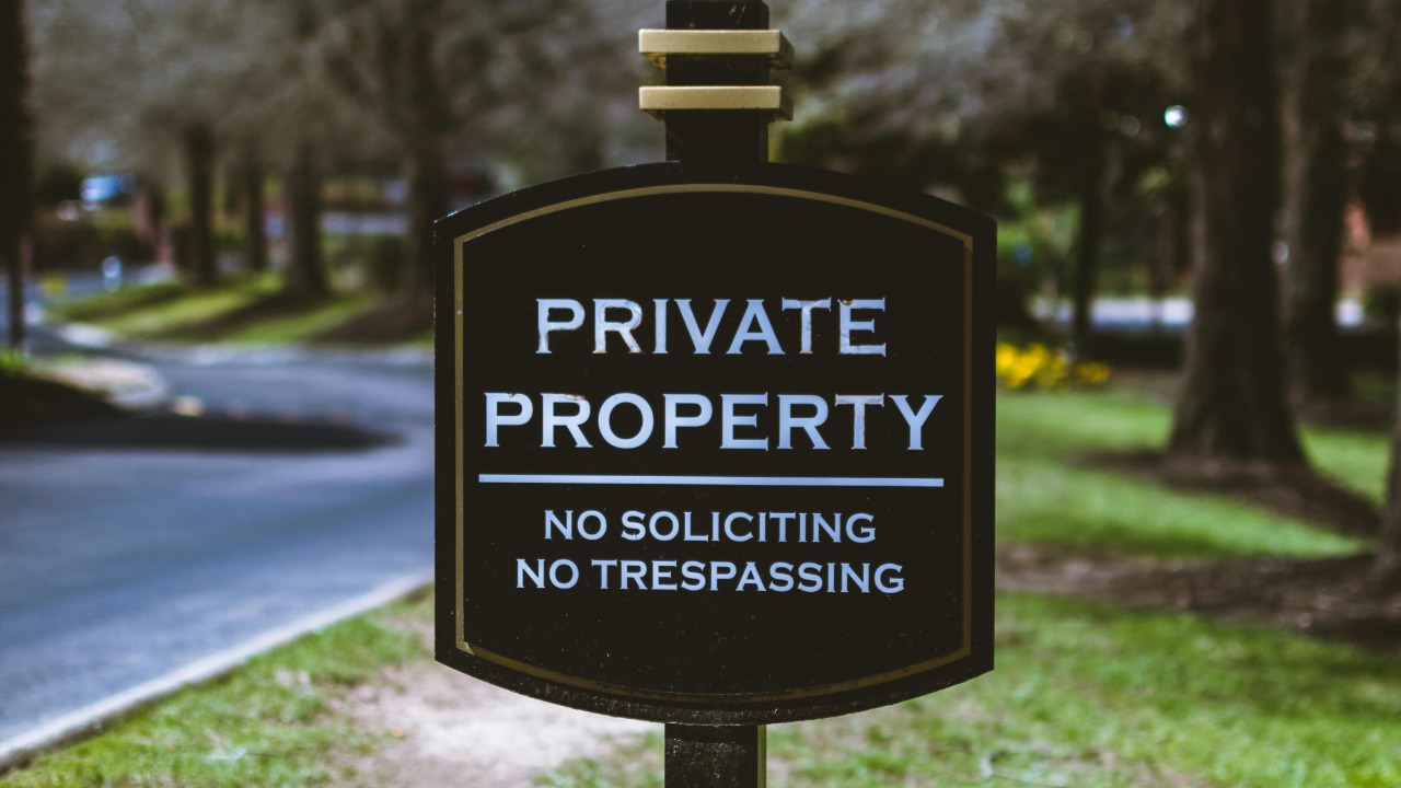 Travis Saylor/Pexels