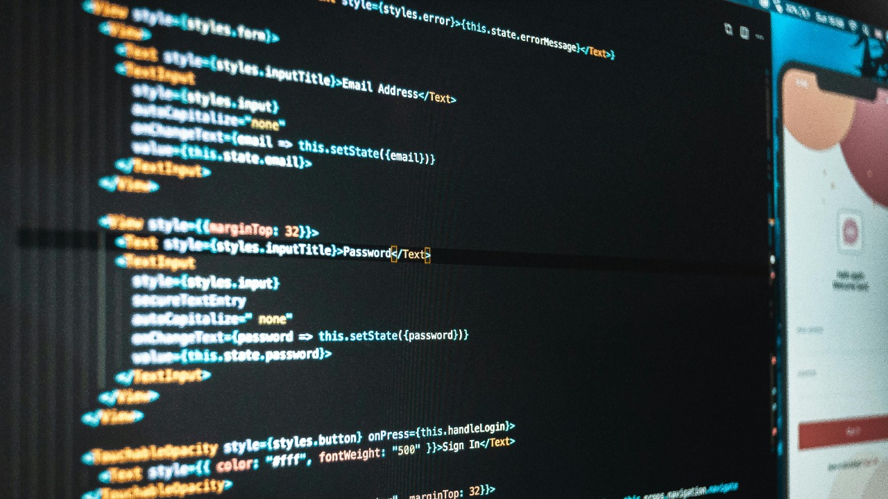 Rodrigo Santos/Pexels