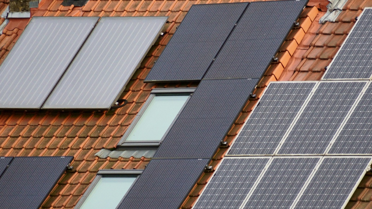 Jan  Van Bizar/Pexels