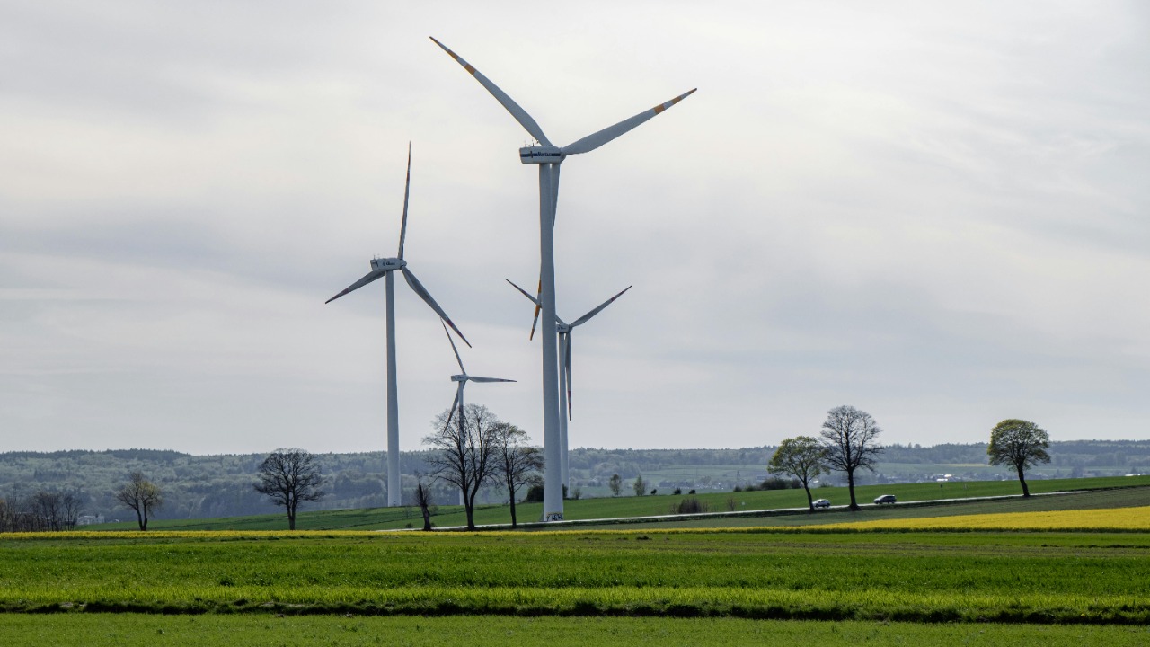 Jędrzej Koralewski/Pexels