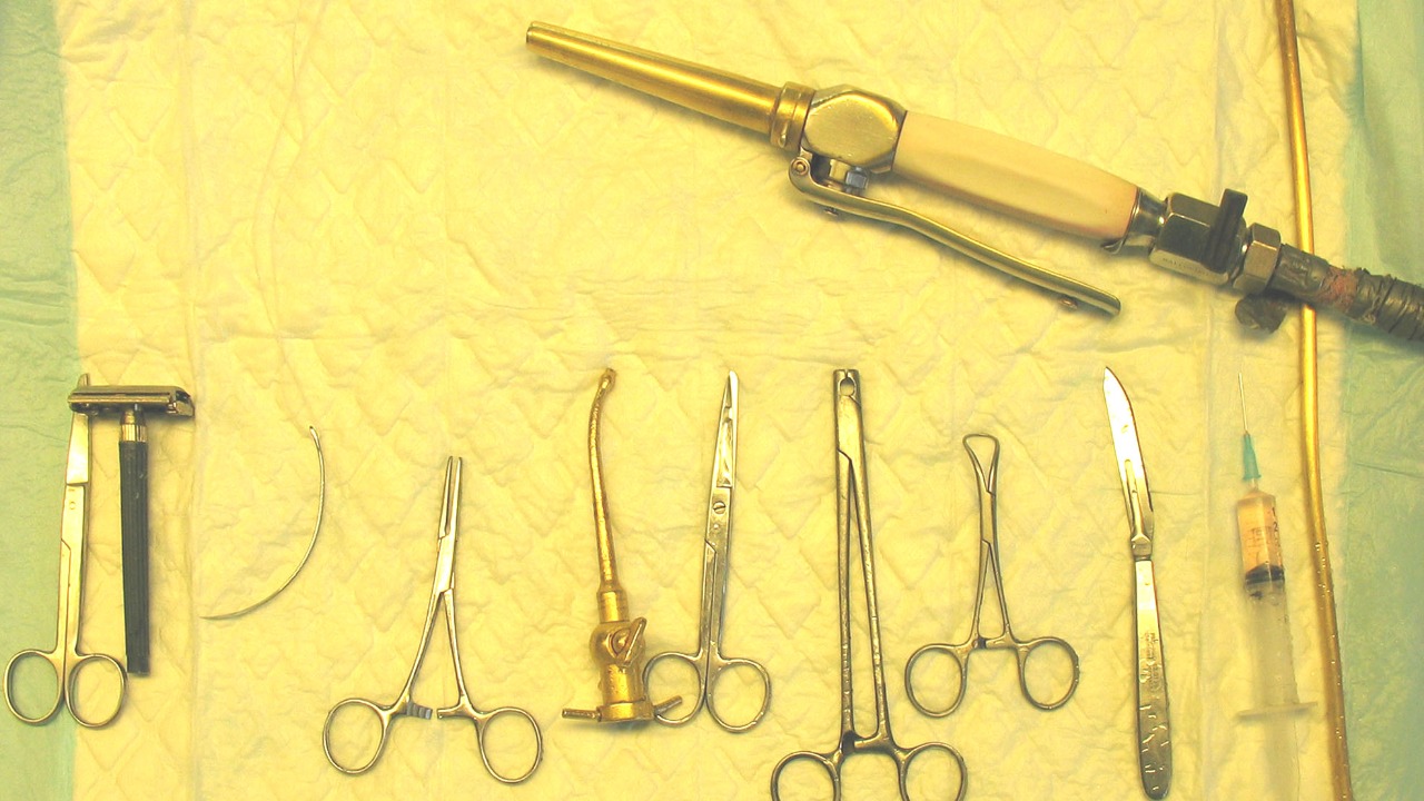 Image Credit: Utensils_used_for_embalming.jpg: Vladimir S
derivative work: F. Lamiot (talk) - CC BY-SA 3.0/Wiki Commons