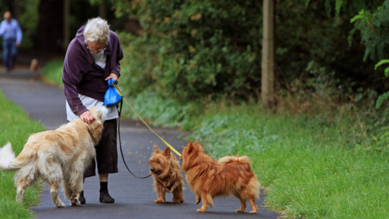 Image Credit: Karen Arnold - CC0/Wiki Commons