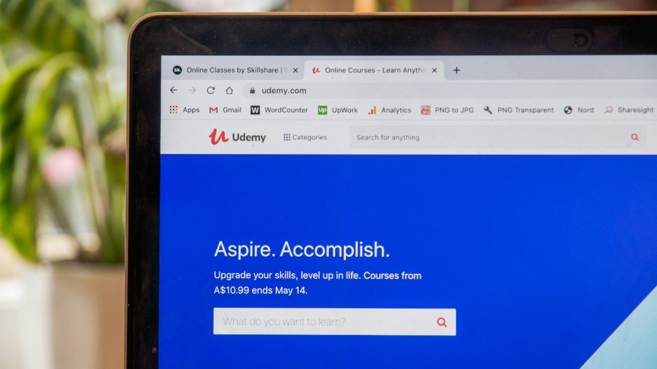 skillscouter/Unsplash
