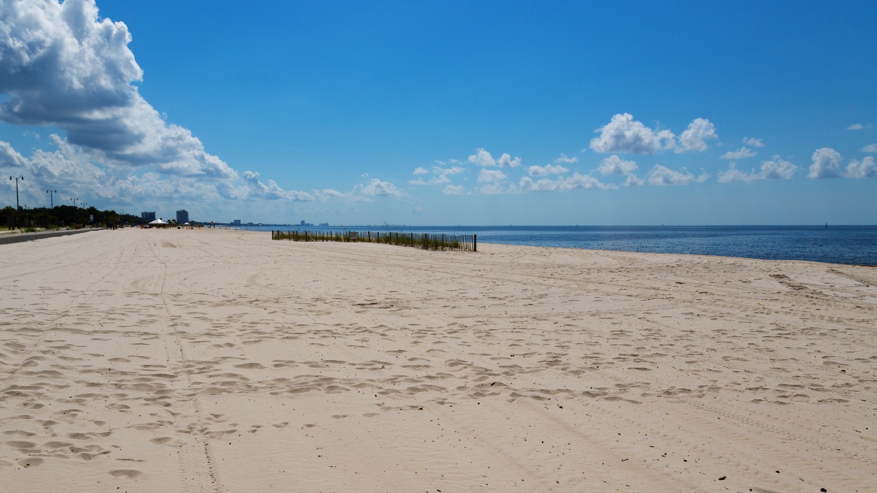 Image Credit: Tony Webster - CC BY 2.0/Wiki Commons