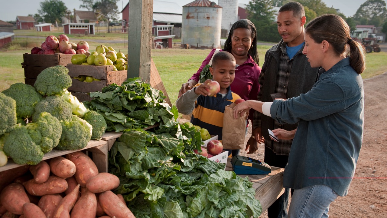 Image Credit: USDAgov - CC BY 2.0/Wiki Commons