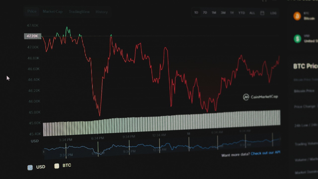 behy_studio/Unsplash