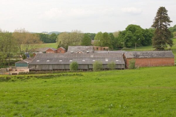 Image Credit: Peter Facey - CC BY-SA 2.0/Wiki Commons