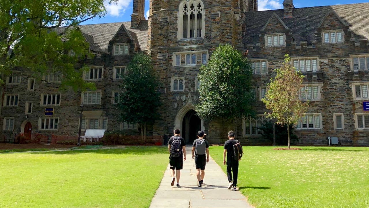 Image Credit: Warren LeMay from Cullowhee, NC, United States - CC0/Wiki Commons