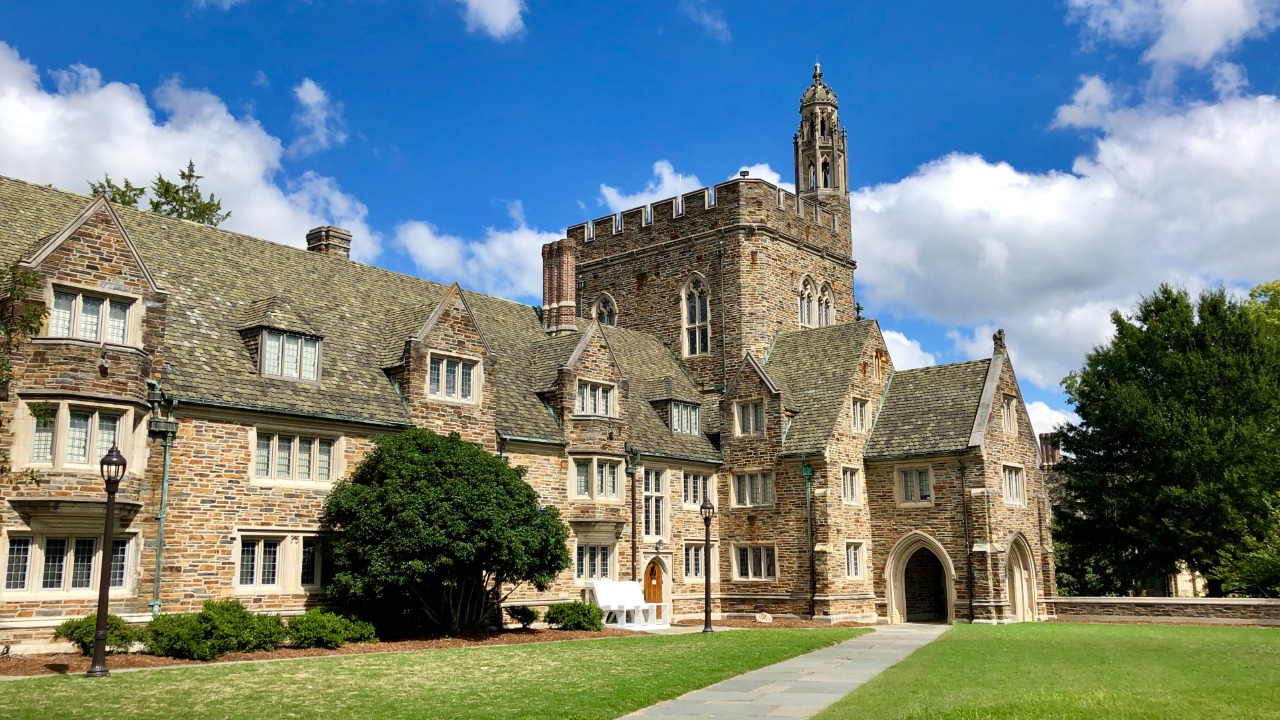 Image Credit: Warren LeMay from Cullowhee, NC, United States - CC0/Wiki Commons