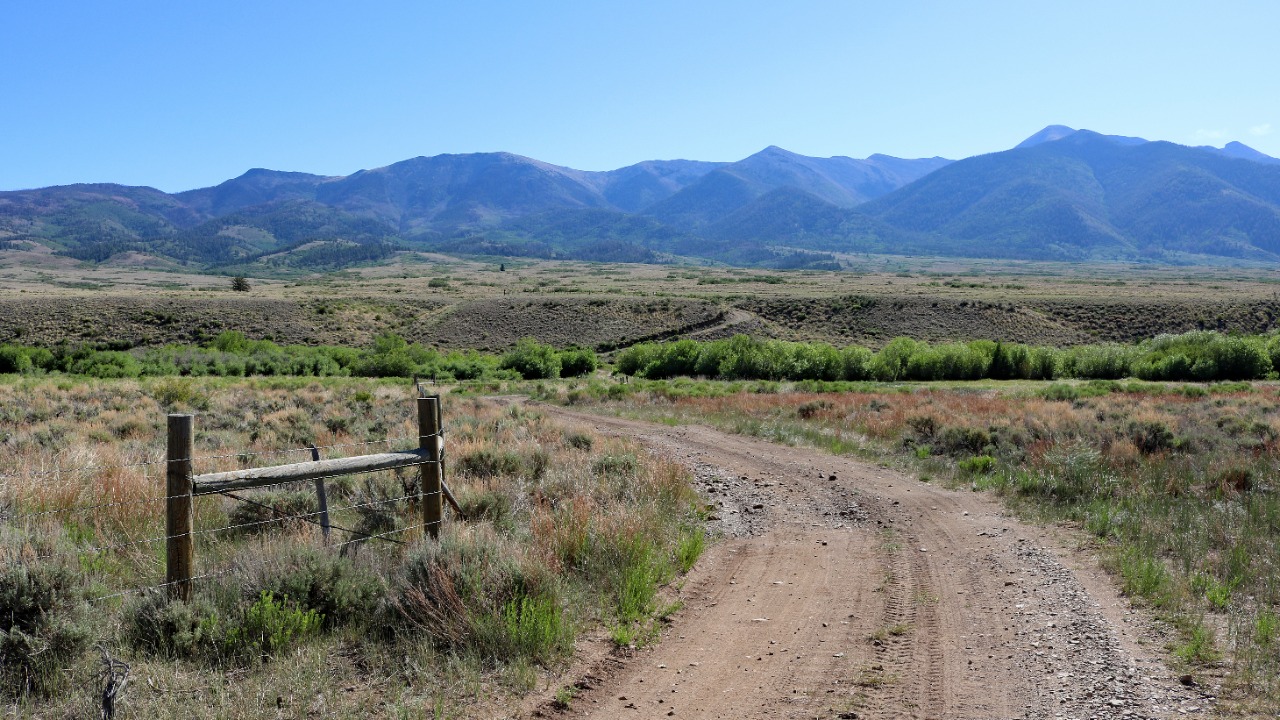 Image Credit: Jeffrey Beall - CC BY 4.0/Wiki Commons