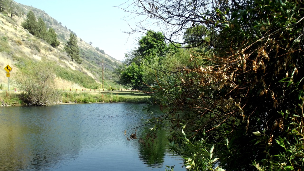 Image Credit: Diane9247 - CC BY-SA 3.0/Wiki Commons