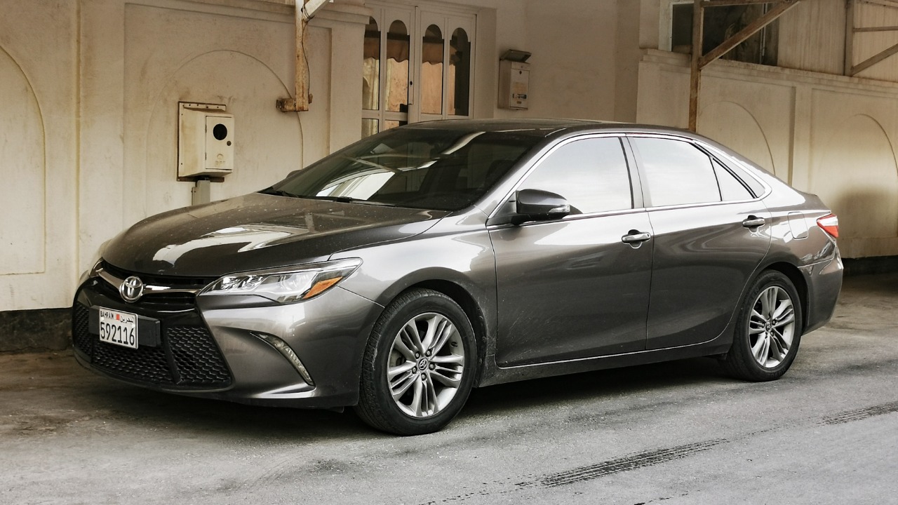 Image Credit: Mohammed Hamad - CC BY-SA 4.0/Wiki Commons