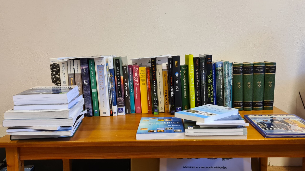 Image Credit: IngimarE - CC BY-SA 4.0/Wiki Commons